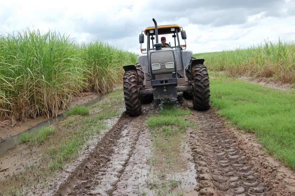COSECHA. Las precipitaciones complican el trabajo en los campos. la gaceta / archivo