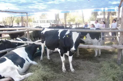 Se viene la 5a Expo Láctea en Trancas