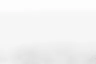 Schweinsteiger, el tanque alemán