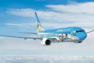 Mirá el avión que llevará a la Selección hasta Brasil 2014