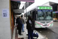 Por trabajo, bien vale ser hormiga viajera