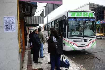 Por trabajo, bien vale ser hormiga viajera