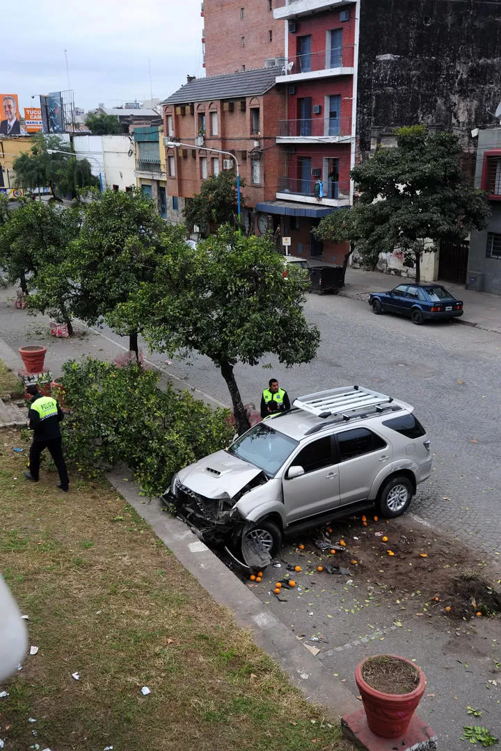 EN LA VEREDA. El rodado quedó sobre al árbol que había arrancado. la gaceta / foto de diego aráoz