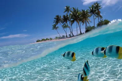 Calor caribeño para gambetear al invierno