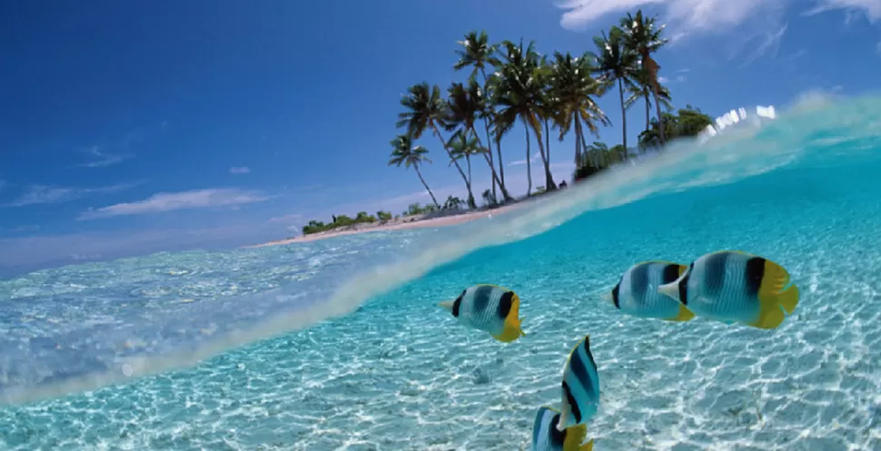 Calor caribeño para gambetear al invierno