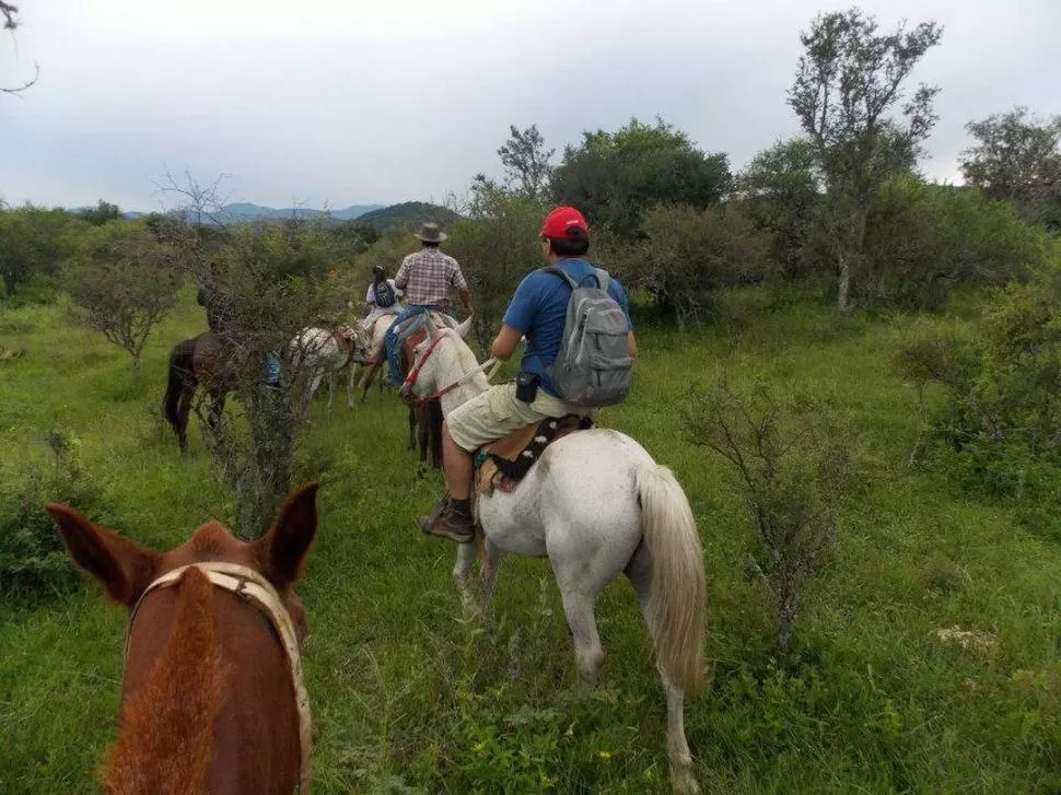 PASEOS BIEN CRIOLLOS. Desde La Cadera se organizan cabalgatas por los montes salteños; los asados son el plato fuerte de estos paseos. fotos Turismo Alternativo Camino del Inca / Rafael Guitián