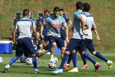 ¿Será el rey de la selva?