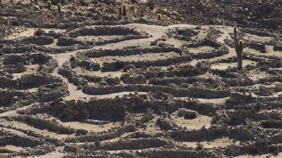 SITIOS ARQUEOLÓGICOS. Santa Rosa de Tastil, uno de los lugares que quedará protegido a partir de la declaración de la Unesco. FOTO ARCHIVO