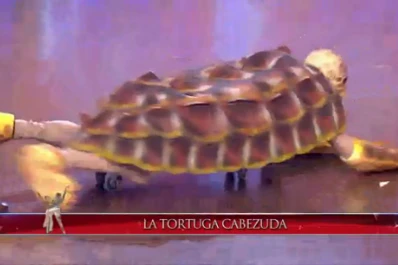 La Tortuga cabezona fue al programa de Marcelo Tinelli