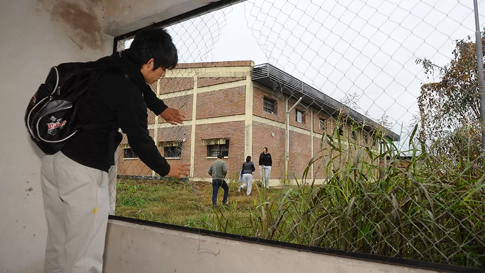 NO DURÓ NADA. El gallinero fue construido el año pasado; antes de ser estrenado ya había sido desmantelado.
