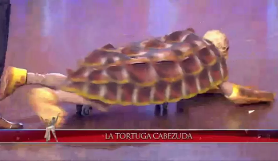 La Tortuga cabezona fue al programa de Marcelo Tinelli