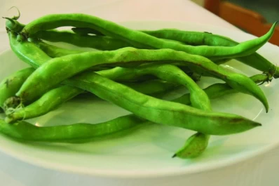 Animate a inventar recetas nuevas