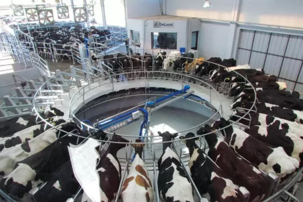 La Nación gestiona capital de trabajo para el sector lechero