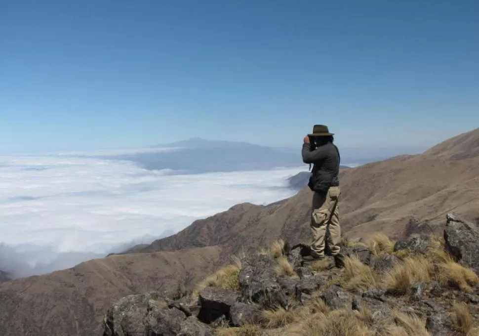 EN LAS ALTURAS. La Ciudacita se encuentra a 4.400 metros de altura. GENTILEZA PARQUE NACIONAL LOS ALISOS 