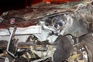Liberaron al dueño del auto involucrado en la muerte de la hija de Tití Fernández