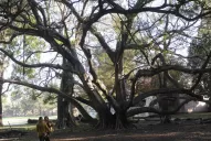 Aulas verdes para tomar clases de naturaleza en las vacaciones