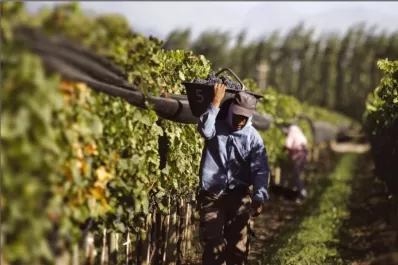 El IDEP trabaja en la inserción nacional e internacional