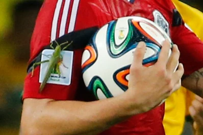 Una enorme langosta se coló en las fotos de James