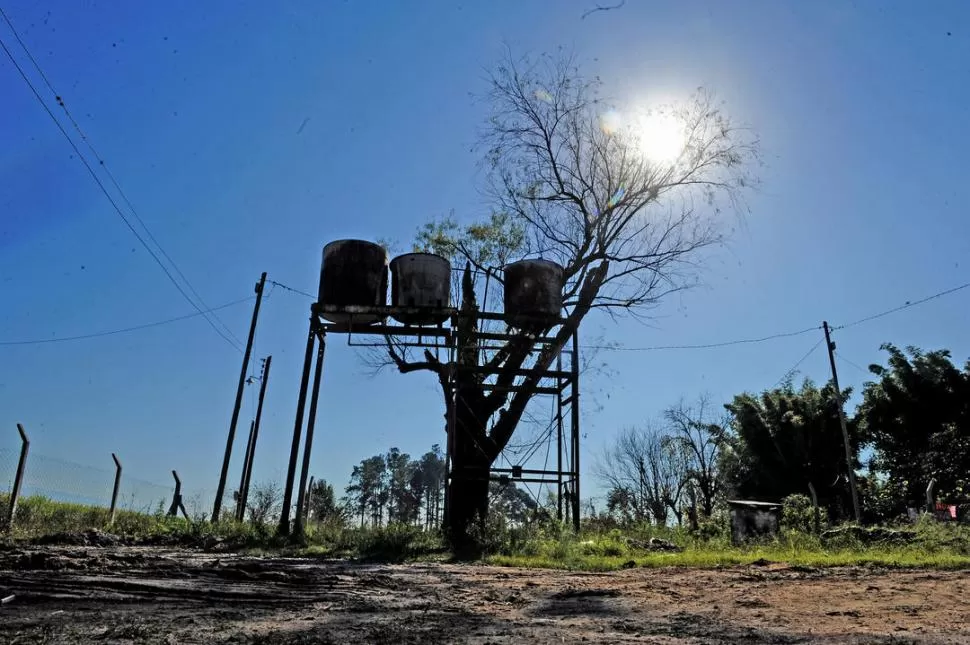 ESTRUCTURA VETUSTA. Sobre hierros herrumbrados, junto a un árbol, están los tanques que contienen el agua de la que beberán los habitantes de El Sunchal. la gaceta / foto de franco vera