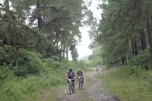 Desde Concepción viajá al corazón de la naturaleza