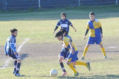 Los chicos patean el tablero