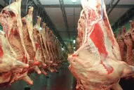 El Gobierno acusó a los buitres de alentar trabas a exportaciones de carnes argentinas