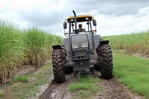 Entre rindes bajos y costos en alza, los pequeños productores viven una crisis aguda