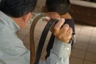 Los tiempos cambian, y un padre que castiga puede terminar procesado