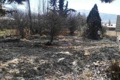 Cinco jóvenes sofocaron un incendio en El Mollar