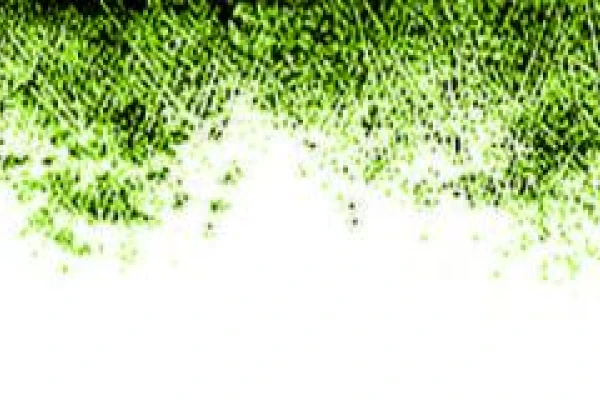 “Me duele el alma”, dijo Maradona