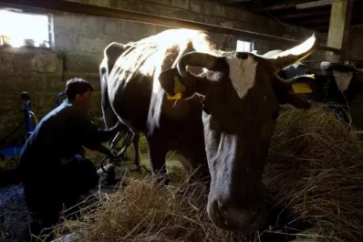 En agosto se abordará el proyecto de ley sobre moratoria previsional