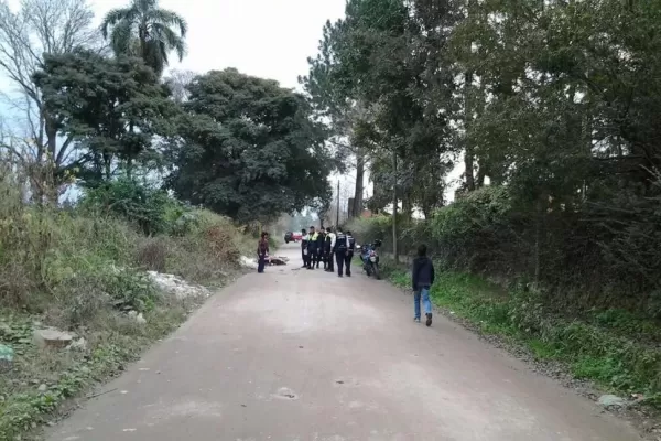 Adriana Bueno persiguió y embistió a los arrebatadores