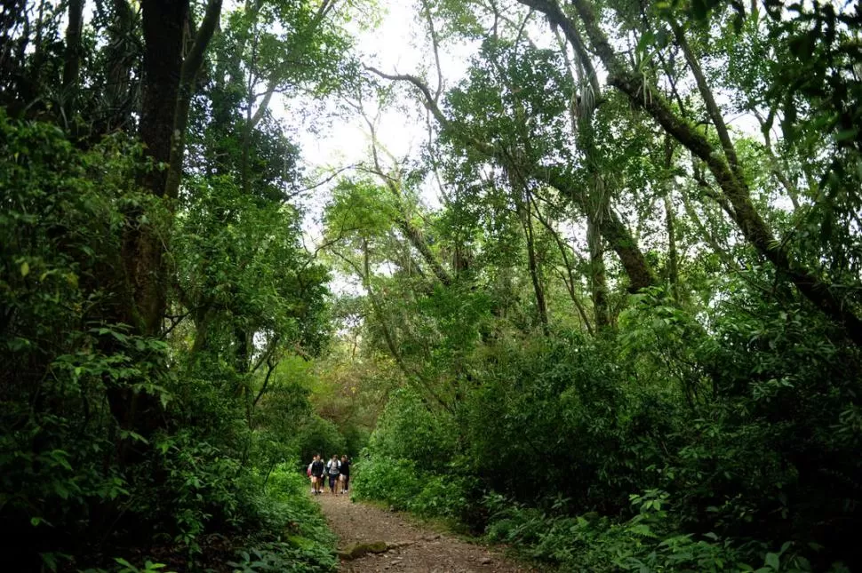 AVENTURAS.

Ecosendas y paseos por el cerro 