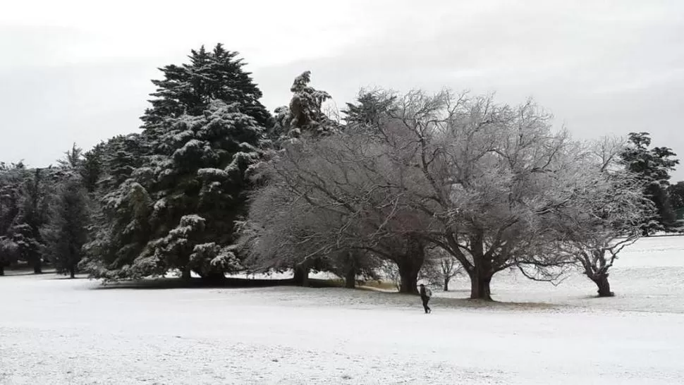 NEVADA EN CÓRDOBA. Así amaneció ayer la zona de La Cumbre, en la provincia de Córdoba. La nieve transformó el paisaje de esa zona cerrana. foto de @SPfaffen / twitter.com