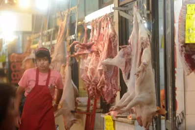 Es imprescindible el control de zoonosis en las ferias