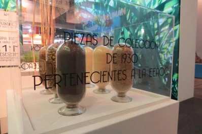 La caña semilla tucumana llegó a Palermo