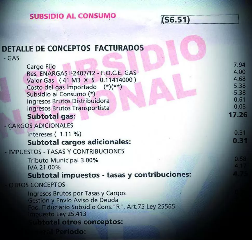 EL QUE NO AHORRA, PIERDE. Según la distribuidora, sólo con el uso racional del fluido puede evitarse la suba.  