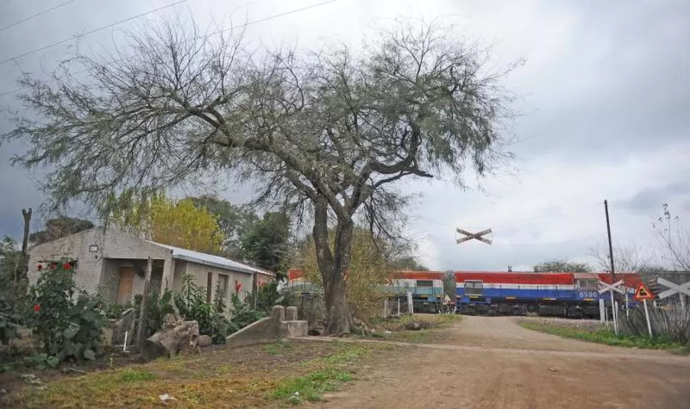 TREN EN MARCHA. Un carguero acaba con la monotonía siestera. 