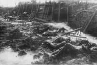 Matar y morir en tierra de nadie