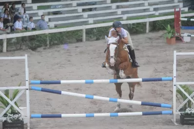 Saltos para todos los gustos