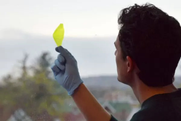 Crean la primera hoja sintética que transforma agua y luz en oxígeno
