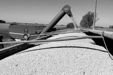 Acotarían la intervención oficial en físicos de granos