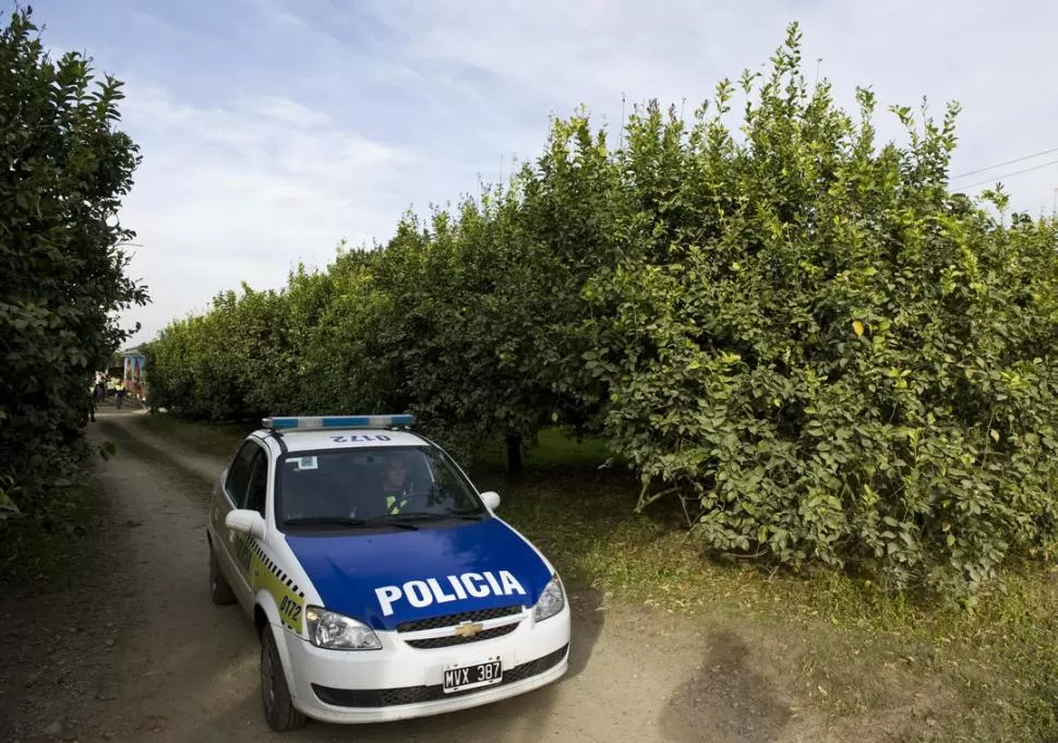 PERICIAS. Los investigadores recorrieron la finca en la que ocurrió el homicidio en busca de rastros que los pueden guiar hacia los asaltantes. la gaceta / FOTO DE JORGE OLMOS SGROSSO