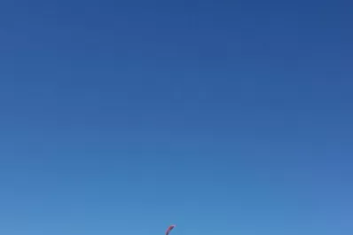 Deheza, Fernández y Alonso, los mejores del día