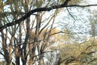 Trasmontaña: el descanso de los guerreros Gasco y Caraccioli