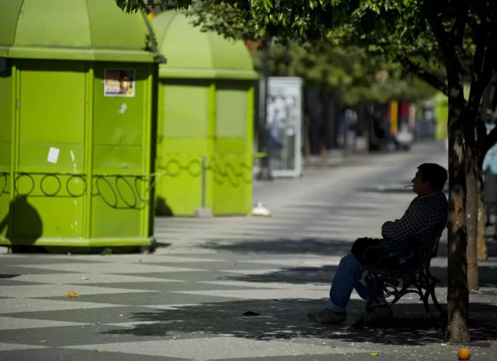 A LA SOMBRA. Un hombre descansa bajo un árbol; el sol fue el protagonista del feriado de ayer. la gaceta / foto de jorge olmos sgrosso