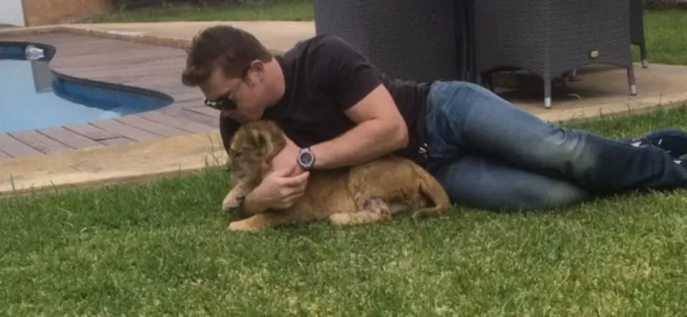 Canelo Álvarez presenta a su nueva mascota: un león