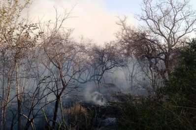 Evacuaron a familias en Santiago del Estero por un incendio de pastizales