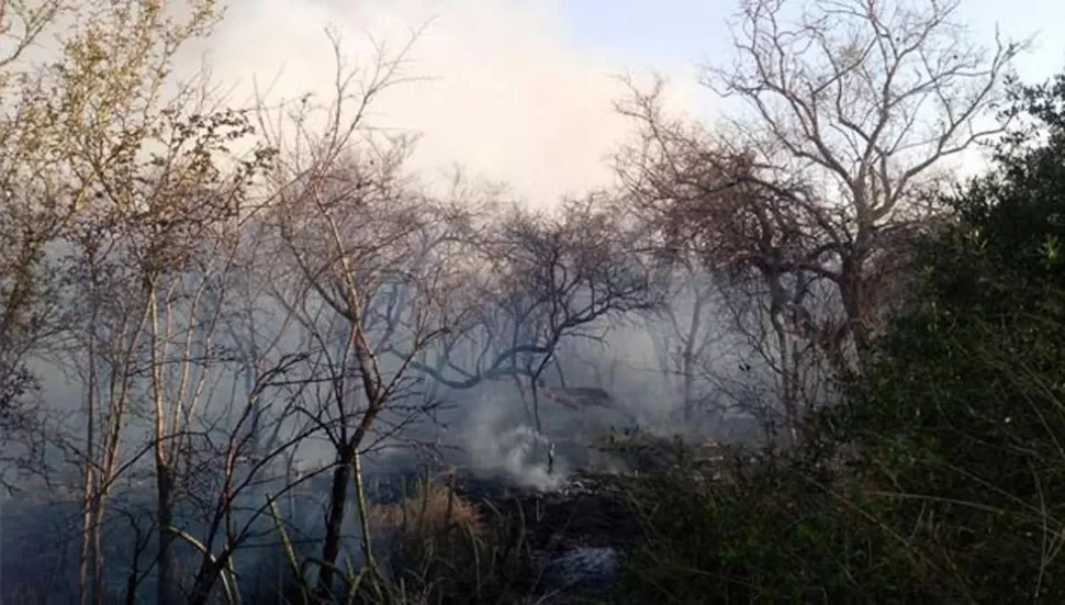 FOTO TOMADA DE DIARIOPANORAMA.COM