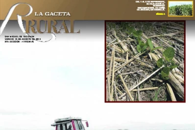 Propuestas en papel, radio, televisión y redes sociales